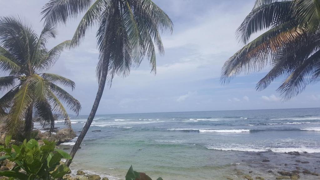 Willa Donamae 2 Story Barbados House Bridgetown Zewnętrze zdjęcie